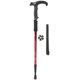 thumbnail image 2 of Alpenstock, Propicio Llamativo Ubicuo Preciso Para Interiores ANGGREK FG2717, 2 of 8