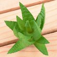 thumbnail image 4 of 10x Fake Succulents Small Vivid Useful Simulated Plants Multi-functional Lifelike Photo Props for Household Yards Lawn Flowerpot Type 12, 4 of 9