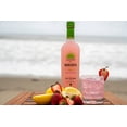 thumbnail image 3 of Rancho La Gloria, Pink Lemonade Margarita Cocktail, 13.9% ABV, 750ml Glass Bottle, 5-150ml Servings, 3 of 4