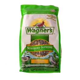 What Backyard Birds Eat Cracked Corn: Top Favorites Revealed