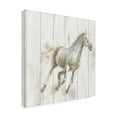 thumbnail image 2 of James Wiens 'Stallion I on Birch' Canvas Art, 2 of 3