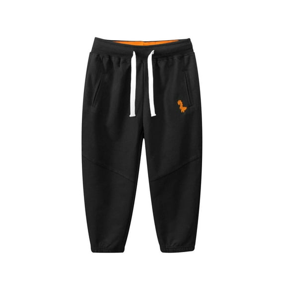 TAIAOJING Dinosaur Print Boys Athletic Pants Kids Sporty Long Trousers For Toddlers Leisure Baby Child Daliywear 4-5 Years