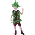 thumbnail image 5 of Disfraces de cosplay para niños, disfraces de baile, árboles verdes, ropa de actuación, disfraz de Halloween para niños, plantas, cosplay, 5 of 5