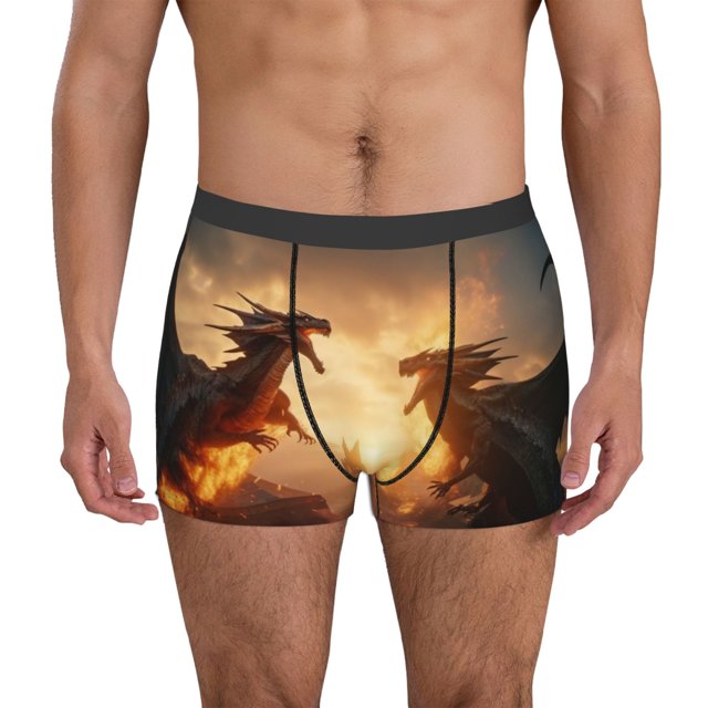 Balery Castle Cool Fire Dragon Calzoncillos bóxer para hombre, ropa interior de algodón suave y transpirable con cinturilla de nailon-Small