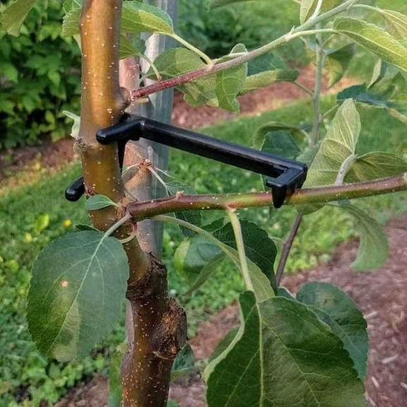 Plant Branch Limb Spreader Garden Plant Tree Straps Plant Bending Tool Branches Fixing Bra2Xk5967