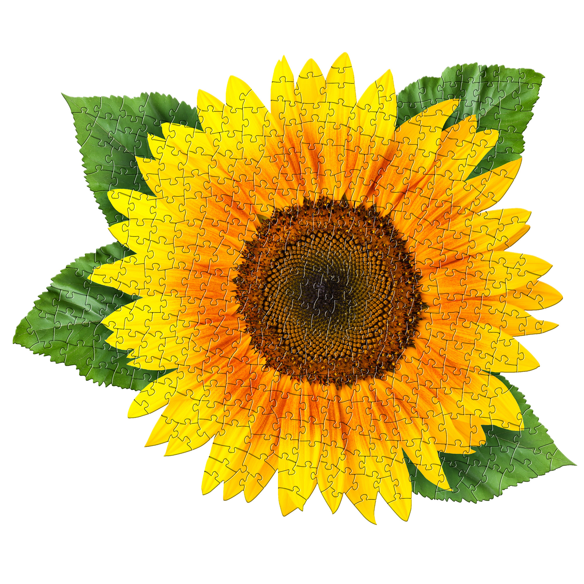 Madd Capp 350-Piece I Am Sunflower Floral Shaped Jigsaw Puzzle
