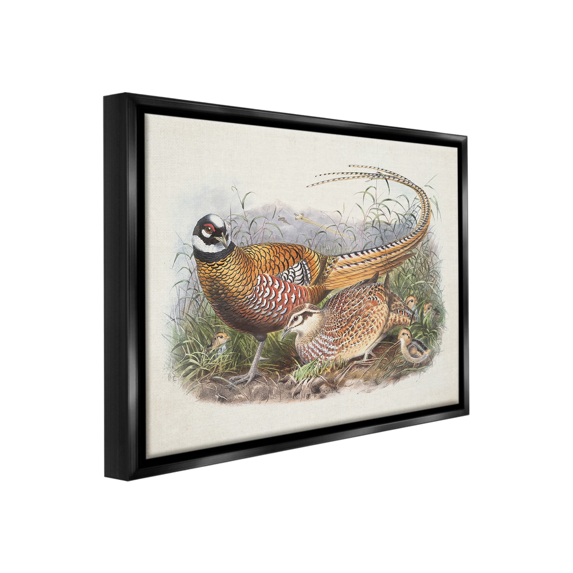 Stupell Industries Pheasant Family in Nature Animals & Insects Painting Black Floater Framed Canvas Art Print Wall Art, 21 x 17