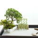 thumbnail image 1 of Houderco 50Ud Plantas Artificiales De Bambú Verde Para Maquetas Arquitectónicas Y, 1 of 6