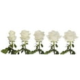 thumbnail image 5 of White Roses - Farm Direct Fresh Cut Flowers - 100 Stems - by Bloomingmore, 5 of 6