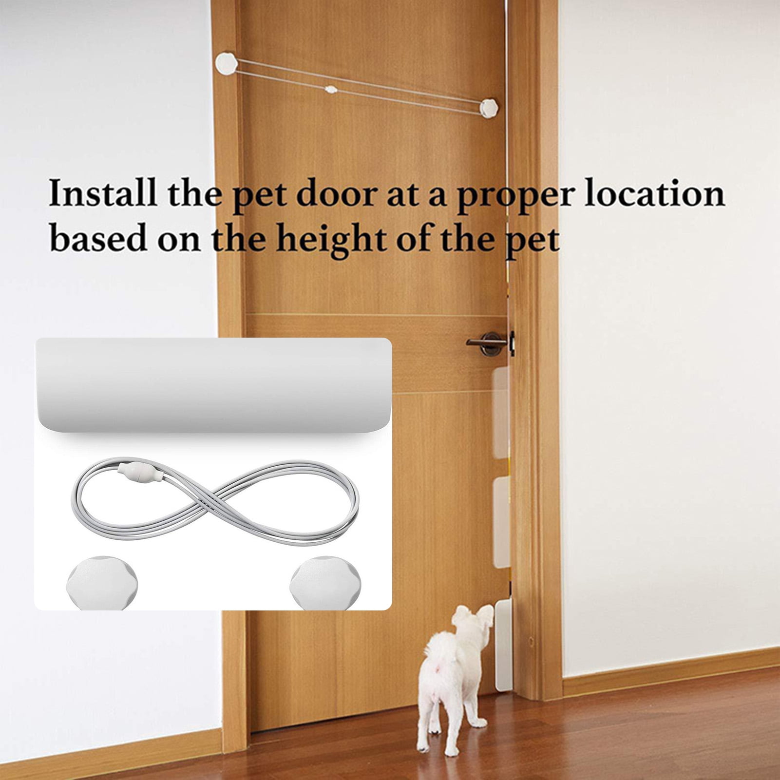 How High Should I Install A Dog Door
