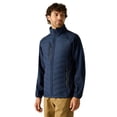 thumbnail image 4 of Regatta Mens Full Zip Padded Jacket, 4 of 5