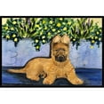 thumbnail image 1 of Carolines Treasures SS8180JMAT Paillasson Intérieur Ou Extérieur - 24 x 36 Po., 1 of 4