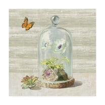 Trademark Fine Art 'Succulent Garden I' Canvas Art by Danhui Nai