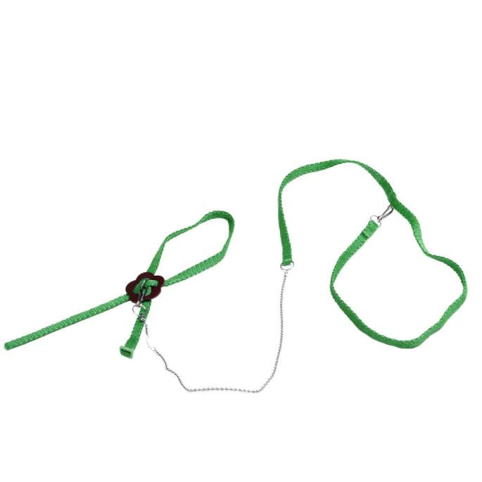 Adjustable Reptile Lizard Harness Leash Training Walk Leash Hauling Cable Rope 