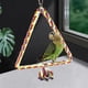 thumbnail image 5 of Parrot Rope Budgie Cockatiel Perch Chew , El 15x18cm Colco percha de cuerda de pájaro, 5 of 8