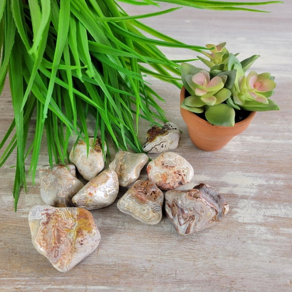 Crystal Joys 1 pc Crazy Lace Agate Stone Tumbled 1"