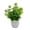 Eucalyptus in round pots, variant on Artificial Green Plant Pot Milan Leaf Decor for Home Bookshelf