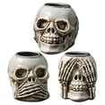 thumbnail image 2 of Xihbxyly Calavera de Esqueleto de Halloween, Artesanía de Resina Realista, Material Duradero, Tamaño Compacto, Decoración para El Hogar y El Jardín, Fiesta Temática de Terror, Diseño En Blanco y Negr, 2 of 7