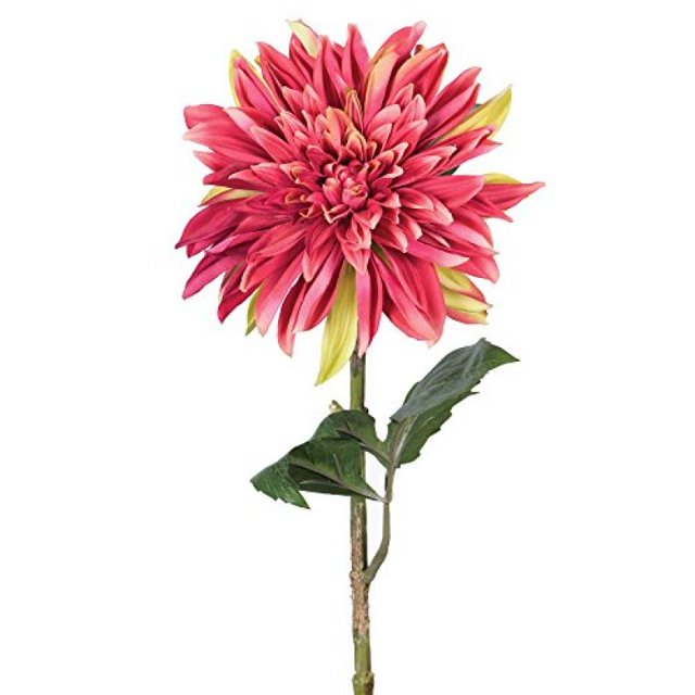 Vickerman FQ172001 Vickerman 28" Artificial Crimson Dahlia Stem