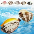 thumbnail image 1 of Juguetes de almejas que lanzan agua, juguetes antiestrés para niños, almejas en forma de flor, 1 of 5