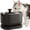 Black, variant on PETLIBRO Dockstream Automatic Cat Water Fountain, 2.5L Cordless Water Dispenser, Quiet Pump, Stainless Steel,White