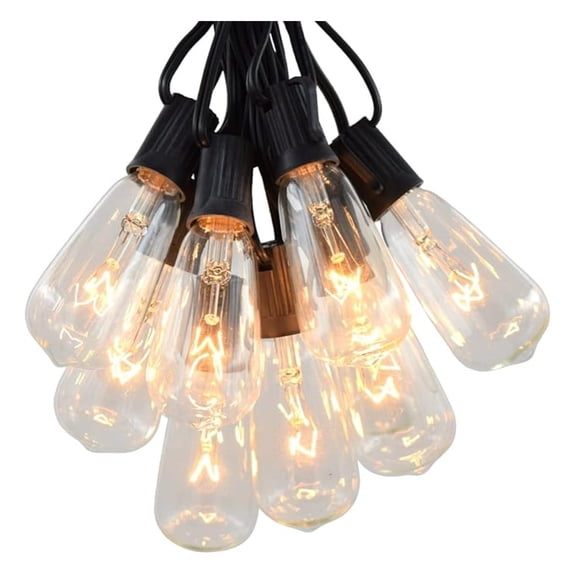 Vintage Edison Outdoor String Lights (ST40 Clear - Black Wire, 10 ft)