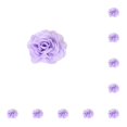 thumbnail image 2 of Pajarita de gato Bewildely con flores morado claro 10Conjunto, 2 of 6
