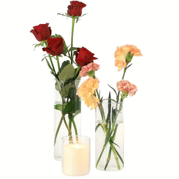 Clear Glass Vase, 10 Inches Large Glass Vase for Flowers, Tall Glass Vases for Modern Decor, Flower Vases for Living Room