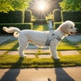 thumbnail image 6 of Pet No Pull Dog Harness with Breathable Mesh Padded, Adjustable Reflective Escape Proof Dog Harness, Quick Fit Dog Vest Harness for Small Medium Large Dogs, 6 of 9