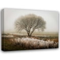thumbnail image 1 of Vitaly Geyman 18x15 Gallery Wrapped Canvas Wall Art Titled - Tranquility I, 1 of 4