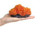 thumbnail image 6 of Holzlrgus 1Pc of Polyresin Coral Ornaments, Aquarium Coral Decor for Fish Tank Aquarium Decoration 5.11" x 3.93" x 2.75", 6 of 6