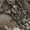 Realtree Excape, variant on Realtree Excape Men's Chill Cutter Softshell Hunting Jacket, Sizes S-3XL