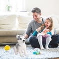 thumbnail image 4 of Teissuly Christmas present Simulation Huskys Dog Plush Toy Wolf Soft Stuffed Animals Cute Plush Kawaii Children Doll Fluffys Birthday Gift Child Boy Teissuly WER202310231562, 4 of 9