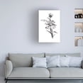 thumbnail image 3 of Chris Paschke 'Line Echinacea I' Canvas Art, 3 of 3