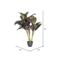 thumbnail image 2 of Vickerman Dracaena Toucher Réel 30 Pouces" en Pot - T160930, 2 of 2