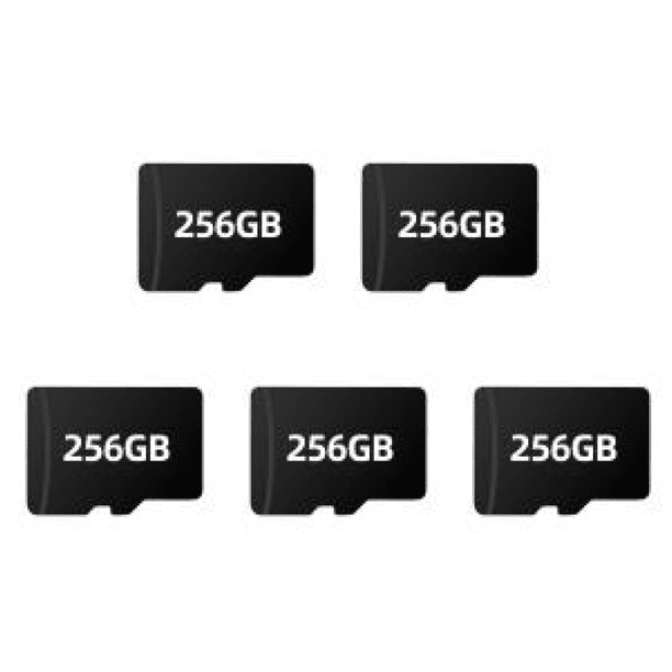 Tarjeta Memoria para Juegos Juego Consola Portátil TRIMUI Smart Pro (256G)