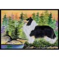 thumbnail image 1 of Carolines Treasures SS8203JMAT Collie Paillasson Intérieur Ou Extérieur - 24 x 36 Po., 1 of 4