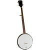 Rover RB-20 5 String Geared Tunable Banjo 24 Brackets Open Back Mahogany Rim Remo Head w/ Bag