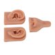 thumbnail image 2 of Modelo de oreja de nariz de silicona, juego de modelo de oreja de nariz de simulación 3D para práctica de perforación, enseñanza de tono de piel oscuro, 2 of 8