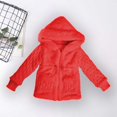 thumbnail image 3 of Zwiiyzr 2024 1-4T Girls Winter Furry Fleece Coats Sweater Patchwork Hooded Faux Fur Warm Jacket Hoodies Outwear Red, 3 of 6