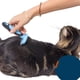 thumbnail image 5 of Maquinilla de Afeitar para Perros Y Gatos Eliminación de Nudos de Pelo Grueso Groomimg , Azul, L Azul - L Salvador Cortapelos para mascotas, 5 of 9