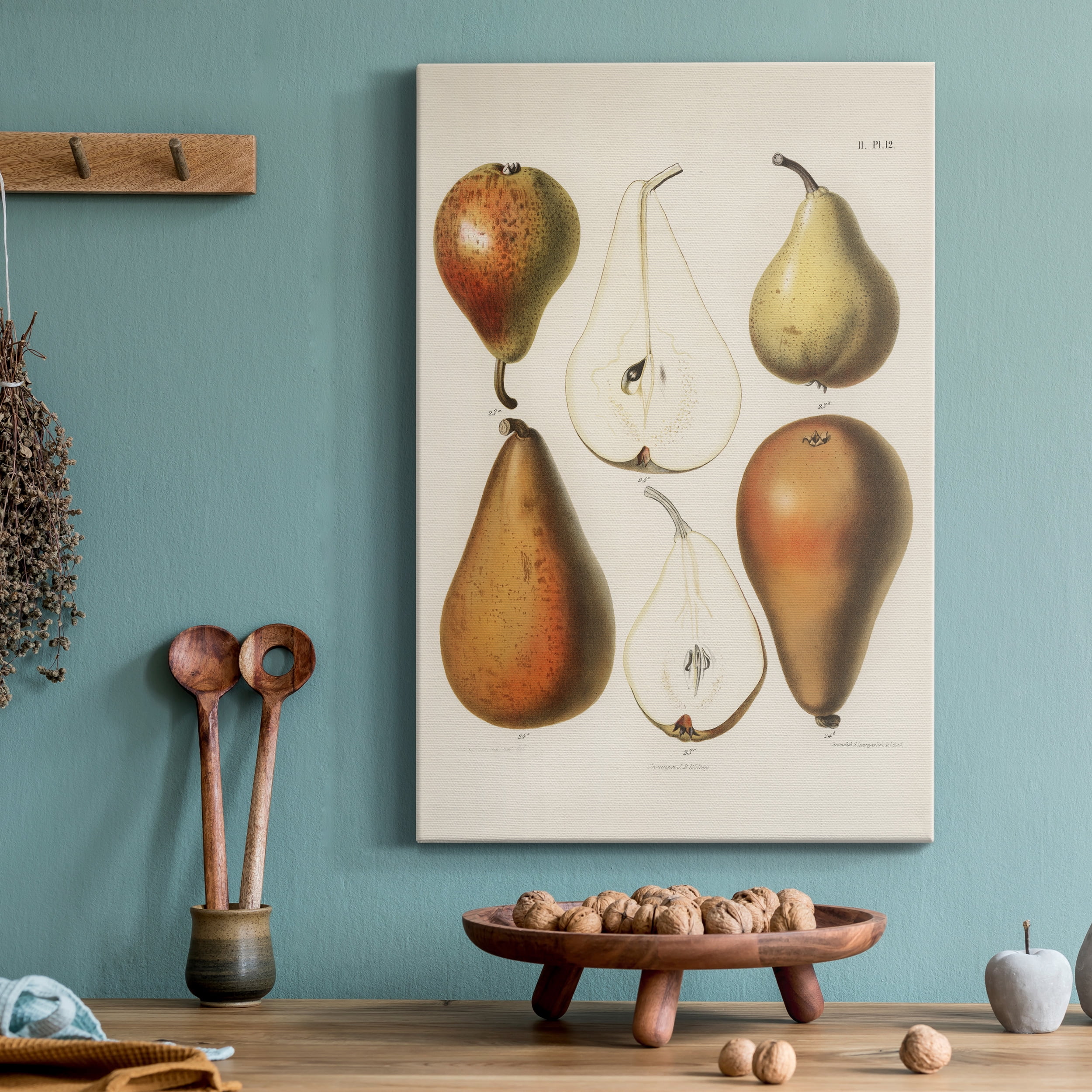 A vintage chromolithograph of fresh pears Premium Gallery Wrapped Canvas - Ready to Hang - 12 x 18