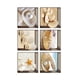 thumbnail image 5 of Pegatinas antideslizantes de PVC 3D para bañera, tatuajes, calcomanías y murales. Conchas, 5 of 9