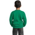 thumbnail image 2 of Port & Company Boys' Crewneck Sweatshirt, 2 of 2