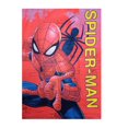 thumbnail image 3 of Pijama Marvel Talla 4 Manga Corta con Estampado Spiderman Azul, 3 of 3
