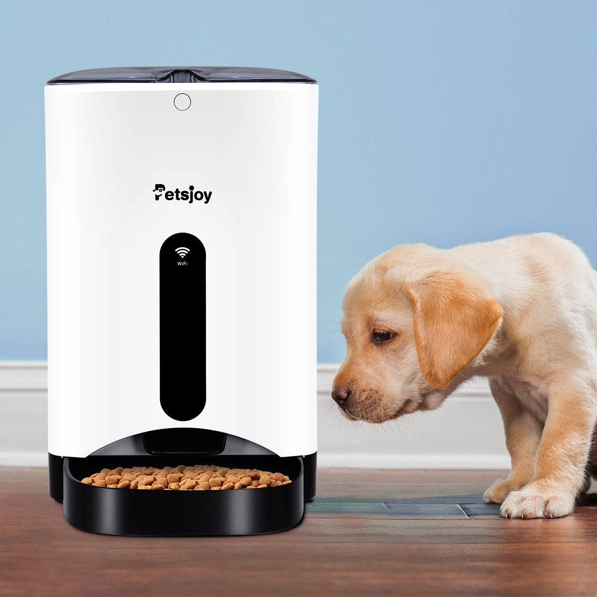 automatic dog food dispenser