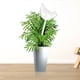 thumbnail image 3 of Self Watering System With Transparent Body Design High Borosilicate Glass No Power Source Plants Automatic Watering For Houseplants ANGGREK Otros, 3 of 7