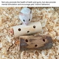thumbnail image 4 of 3PcsWood Chew Sticks for Small Animals, Promotes  Teeth and Gums, Pet Snacks for Boredom Relief, Suitable for Rabbits, Guinea Pigs, Hamsters, 4 of 7