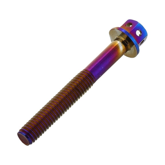 Worgeous Motorcycle License Plate Screws Screws For Fastening License Plates for Secure and Decorative Mounting for Car and Bike Plates