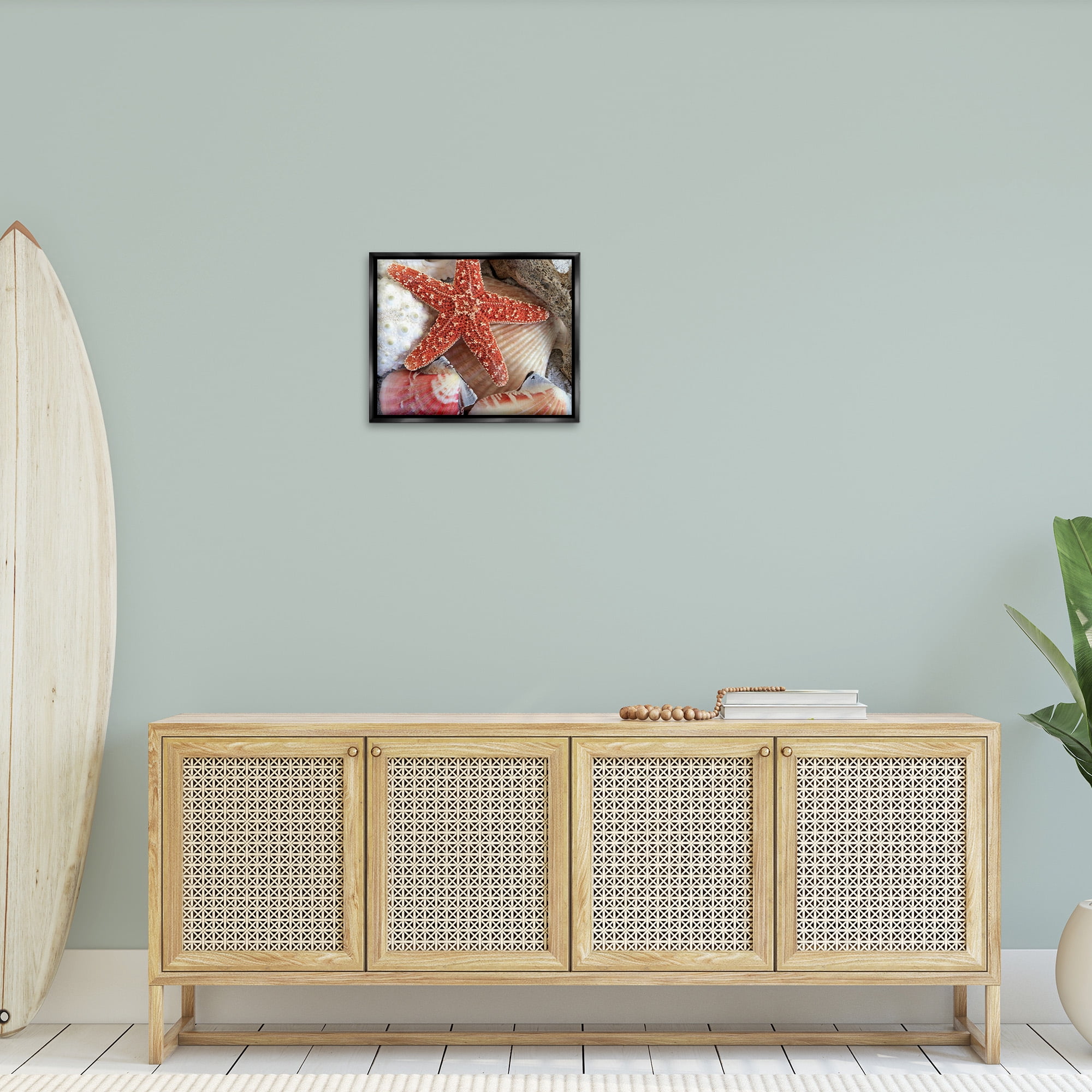 Stupell Industries Various Seashells Ashore Animals & Insects Photography Black Floater Framed Canvas Art Print Wall Art, 21 x 17